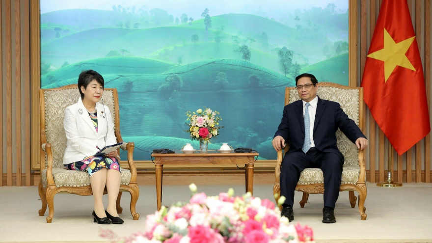 Vietnam expects Japan’s new generation ODA grants to strategic projects